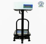 King Star F/B Display 300X300MM Platform Scale Capacity 100Kg Accuracy 10g Minimum 200g Weighing Scale