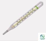 Medigrow Oval Thermometer for Fever Test For Clinical, Home Oval Thermometer