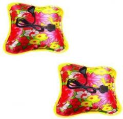 Whinsy Set of 2 Assorted Heating Pad