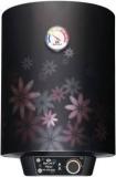 Bajaj 10 Litres Bajaj Majesty PC Deluxe Storage Water Heater (Black, Multicolor)