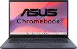 Asus Chromebook CX14 Intel Celeron Dual Core N4500 CX1405CKA NK0154 Chromebook