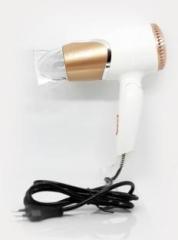 Kemei KM 6832 Professional Hair Dryer