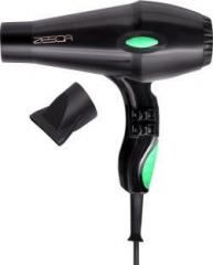 Zesqa Professional Style AC220V Dryer HD 111 Hair Dryer