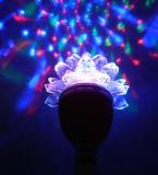 Crisanto Multicolour Self Rotating Plastic Decorative Light