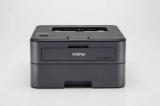 Brother HL L2351DW IND Single Function WiFi Monochrome Printer