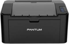 Pantum P2500 Single Function Printer