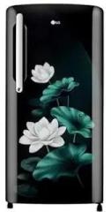 Lg 201 Litres 3 Star GL B211HELD Single Door Refrigerator With Smart Inverter Compressor, Direct Cool, Stabilizer Free Operation, Emerald Lotus