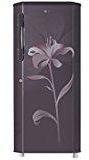 LG 215 Litres 4 Star Direct Cool Single Door Refrigerator , Graphite Lily