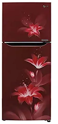 Lg 260 Litres 2 Star GL T292RSCY Smart Inverter Frost Free Double Door Refrigerator