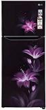 Lg 260 Litres 2 Star GL N292BPGY Purple Glow Double Door Refrigerator