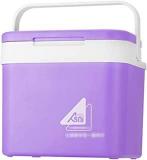 Portable 10 Litres Purple Car Refrigerator Ice Bucket Ni Fridge Cooler And Warmer Picnic Icebox For Skincare Snacks Cans Home And Travel Layfoo