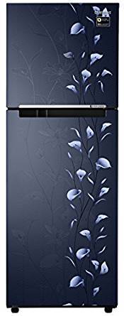 Samsung 253 Litres RT28M3022RZ Frost Free Double Door Refrigerator