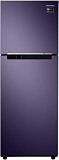 Samsung 253 Litres 3 Star RT28R3023UT/HL Frost Free Double Door Refrigerator