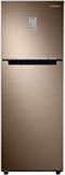 Samsung 253 Litres 3 Star RT28R3753DU/HL Frost Free Double Door Refrigerator