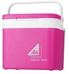 Portable 10 Litres Car Refrigerator Ice Bucketni Fridge Cooler And Warmer Picnic Icebox For Skincare Snacks Cans Home And Travel Huaishu