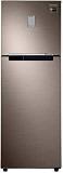 Samsung 255 Litres 2 Star RT30T3422DX/HL Frost Free Double Door Refrigerator