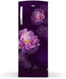 Whirlpool 192 Litres 3 Star 215 IMPRO ROY 3S PURPLE PEONY Z Direct Cool Single Door Refrigerator