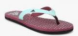 Adidas Adi Klomp S Blue Flip Flops women