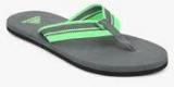 Adidas Adze Green Flip Flops Men