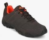 Adidas Alekto Brown Outdoor Shoes Men