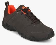 Adidas Alekto Brown Outdoor Shoes men