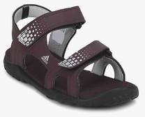 Adidas Argo W Purple Floaters men