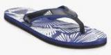 Adidas Aril Blue Flip Flops Men