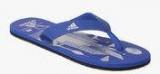 Adidas Beach Print Max Out Blue Flip Flops Men