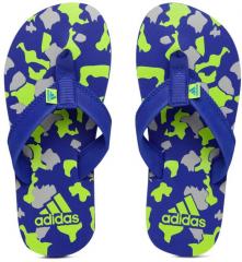 Adidas Boys Blue & Grey Printed Shingle Flip Flops boys