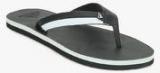 Adidas Brizo 3.0 Black Flip Flops Men