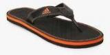 Adidas Brizo 4.0 Ms Black Slippers men