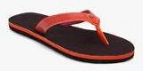 Adidas Brizo 4.0 Orange Flip Flops Women