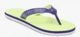 Adidas Brizo 4.0 Purple Flip Flops Women