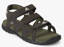 Adidas Bustle Brown Floaters men