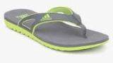 Adidas Calo 5 Grey Slippers Men