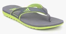 Adidas Calo 5 Grey Slippers men