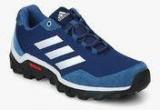 Adidas Cape Rock Ind Blue Outdoor Shoes men