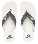 Adidas Charcoal Grey & White EEZAY Maxout Solid Thong Flip Flops Men