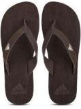 Adidas Durok Brown Flip Flops Men