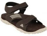 Adidas Echo Brown Floaters Men