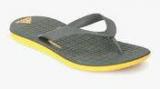 Adidas Eezay Cf Grey Flip Flops Men