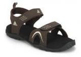 Adidas Esta Brown Floaters Men