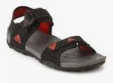 Adidas Hoist Black Floaters Men