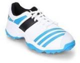 Adidas Howzat Fs II White Cricket Men