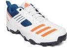 ADIDAS Men White CRI Hase Cricket Shoes