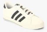 Adidas Neo Daily White Sneakers Men