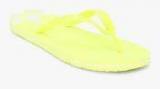 Adidas Originals Adisun Green Flip Flops Women