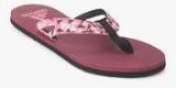 Adidas Ozor S Pink Slippers Women