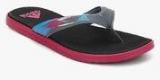 Adidas Sc Beach Black Flip Flops women