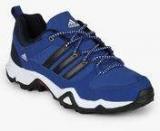 Adidas Storm Raiser 1.0 Blue Outdoor Shoes Men